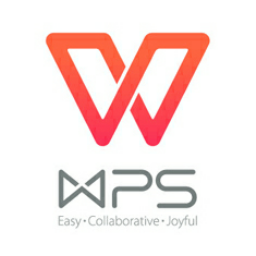 WPS Office 2019 专业增强版 11.8.2.12195 去广告 绿色便携版